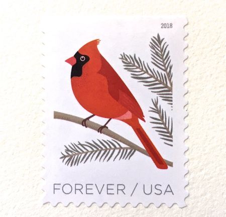 100 Cardinal Forever Stamps // Christmas Cardinal Postage Stamps // Red Cardinal and Evergreen Forever Stamps for Mailing